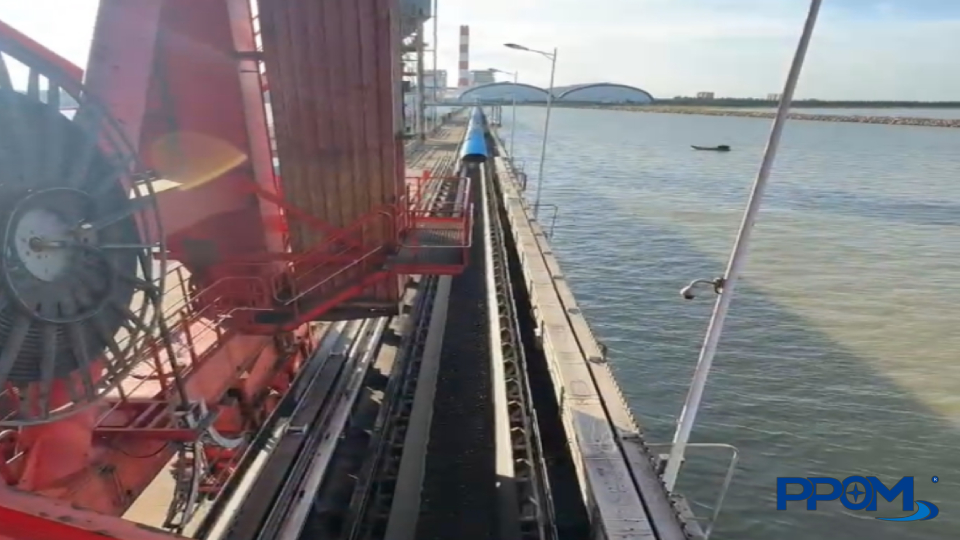 6900218296516 snapshot 00 09 233